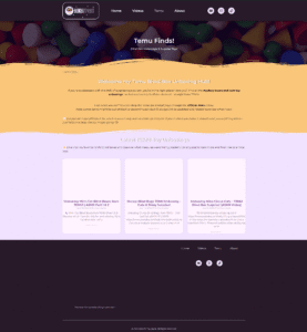 Wonder Toy Quest Website Blog Page